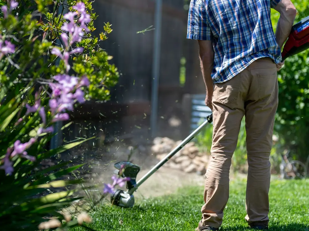 Freshly mowed lawn in front of a home